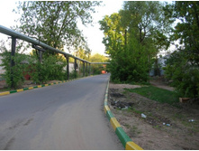 ����� �������?