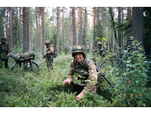 ������ �� �������))