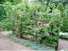 ������������ ������� - ����� ��������.jpg