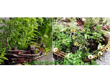 ���������� - ������� - ������.jpg