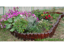 ���������� �� ����������� �������.jpg