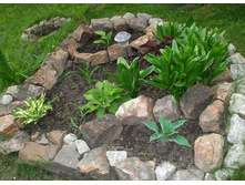 ������ - ���������.jpg