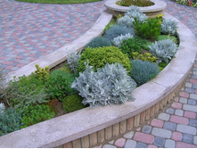 ������ - ���������� ����� �� �����.�����.jpg