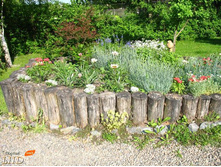 ������ �� ������.jpg