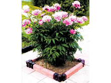 ������ - ������ ������� � ������.jpg