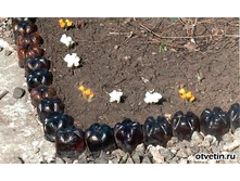 ������ �� ������.�����.�������.jpg