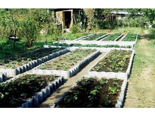 ������ �� ������.jpg