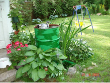 ����� � ������.jpg