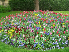 ������ ���-���.jpg