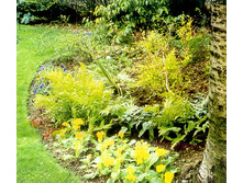 ������ � �������.jpg