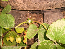 ������ ����� �� ���.jpg