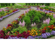 ���������� �����.jpg