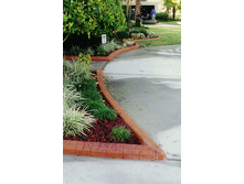 ����� ��������.�����.jpg