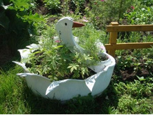 ������ - ������ �� ���.jpg