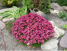 ���������� ����� � ��������.jpg