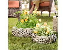 ������ - �������� �����.jpg