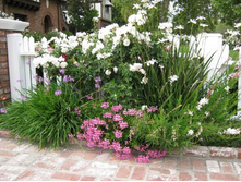 ���������� ������ � ������.jpg