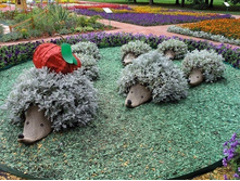 ������ - �����.jpg