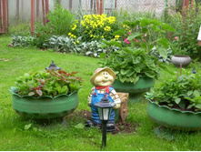 ������ �� ���.jpg