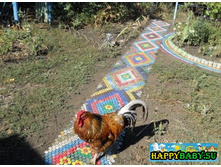 ������� �� ��.������.jpg