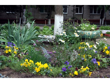 ������� � ������ �� ���.jpg