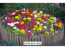 ������ ���������.jpg