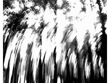 ��������� ���