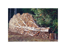 ������ - ���������.jpg