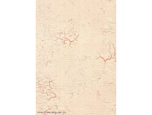 ������� , ������ , ���� ���� 520,00