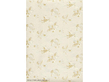 ������� , ������ , ���� ���� 520,00