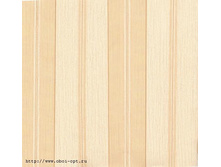 ������� , ������ , ���� ���� 520,00