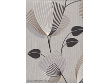 �������, ���� ������� �������� (1,06*10�) ���� 520,00