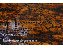 DSC_0158 (640x428).jpg