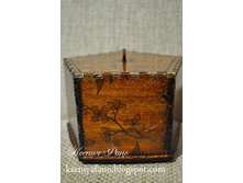 DSC_0200 (425x640).jpg