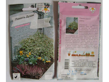 ������ ���� ��� �������� ���� �����