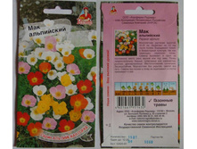 ��� ����������