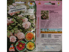 ���� �����������