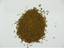 ��*cam (����*����)