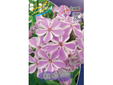PHLOX ALL IN ONE