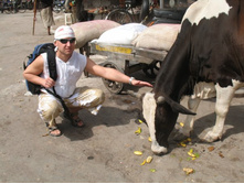 ��������� ��������� ������ - ������ ���������� �� ����-������