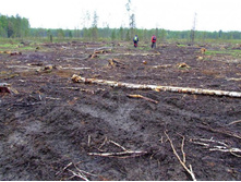 �� �������