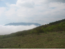 ����� ������������ �����