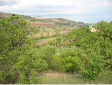 ����� ����� ������������...