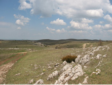 ������������ ������