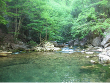 ������� �����