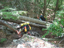 ������ �� ���� � ������� )