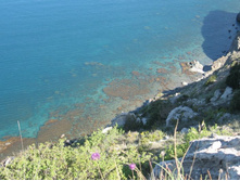 ������ ������� ���� ����� �� �������