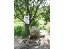 ������ �������