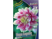 ��������� Aquilegia Barlow Nora_19.jpg