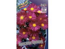 ����� Aster Crimson Brocade_42.jpg